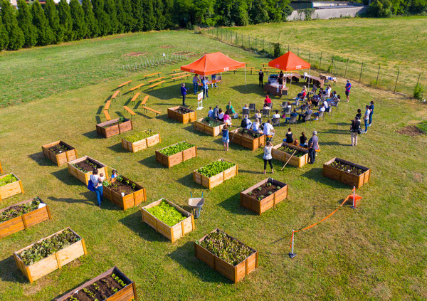 Nasce IVAR VEGETABLE GARDEN